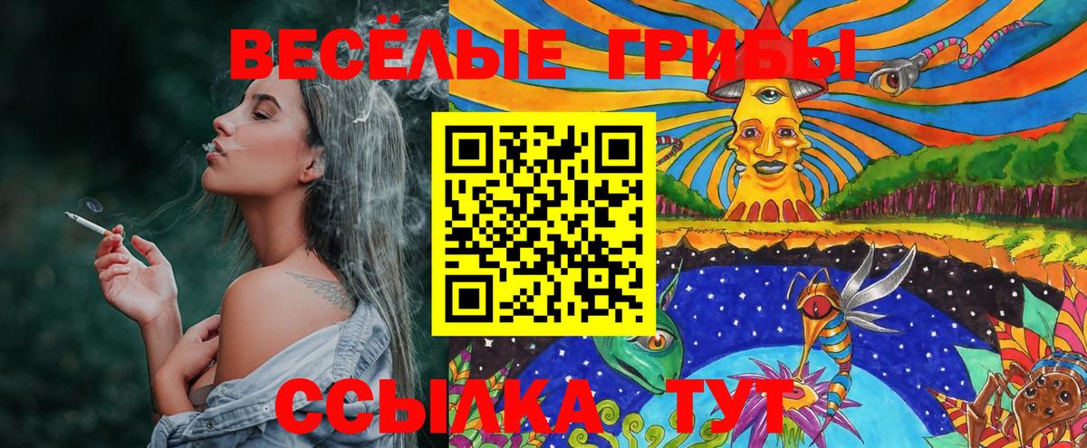 Псилоцибиновые грибы Psilocybe  Вход с VPN  Псилоцибиновые грибы Psilocybe  Сокол 